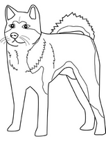 coloriage akita chien des neiges